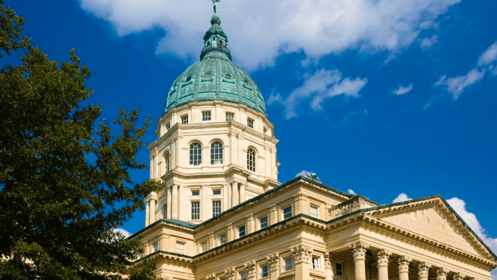 Serving Families and Changing Systems: Why Advocacy Is Now Part of Our Work 
